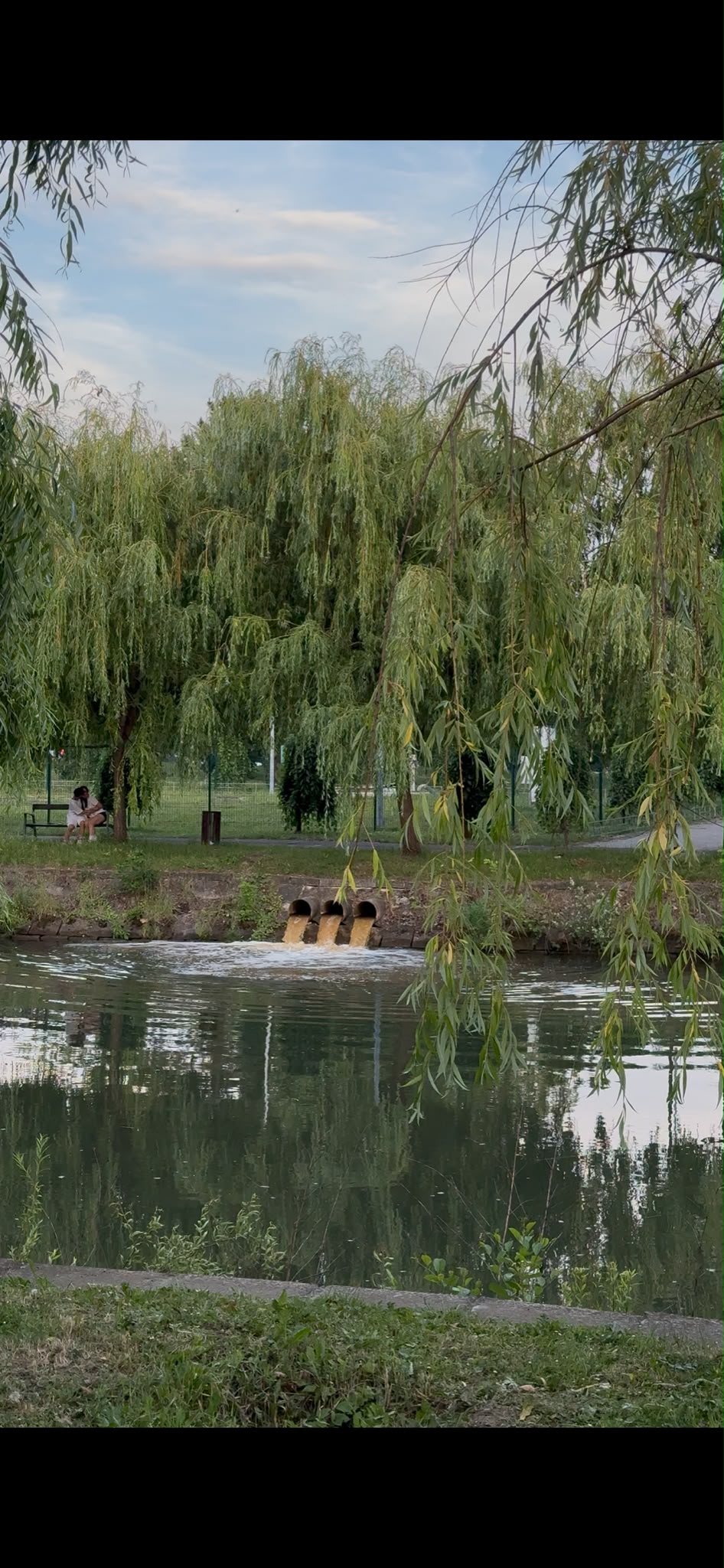 Bega poluata Parcul Rozelor Timisoara