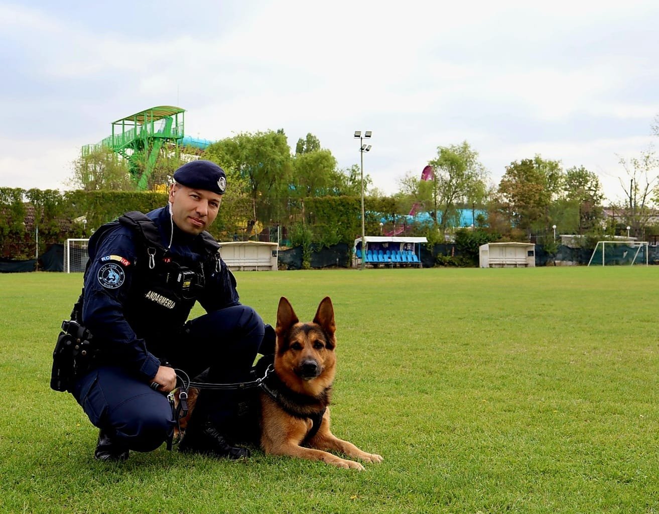 Jandarm din Timiș, într-o poziție ghemuită, alături de un câine de serviciu pe un teren de fotbal
