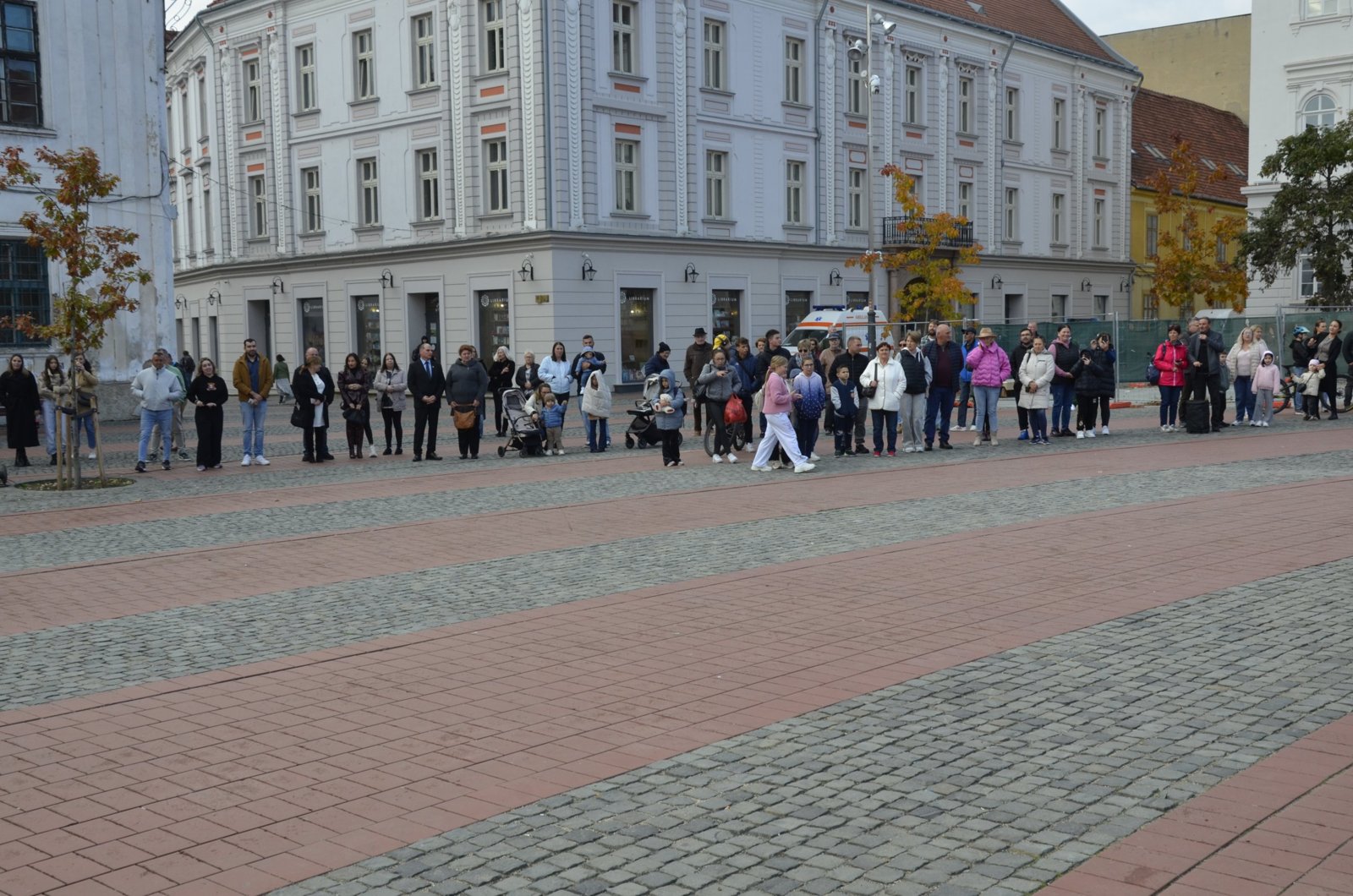 Ziua Armatei Române, Timișoara – foto 13