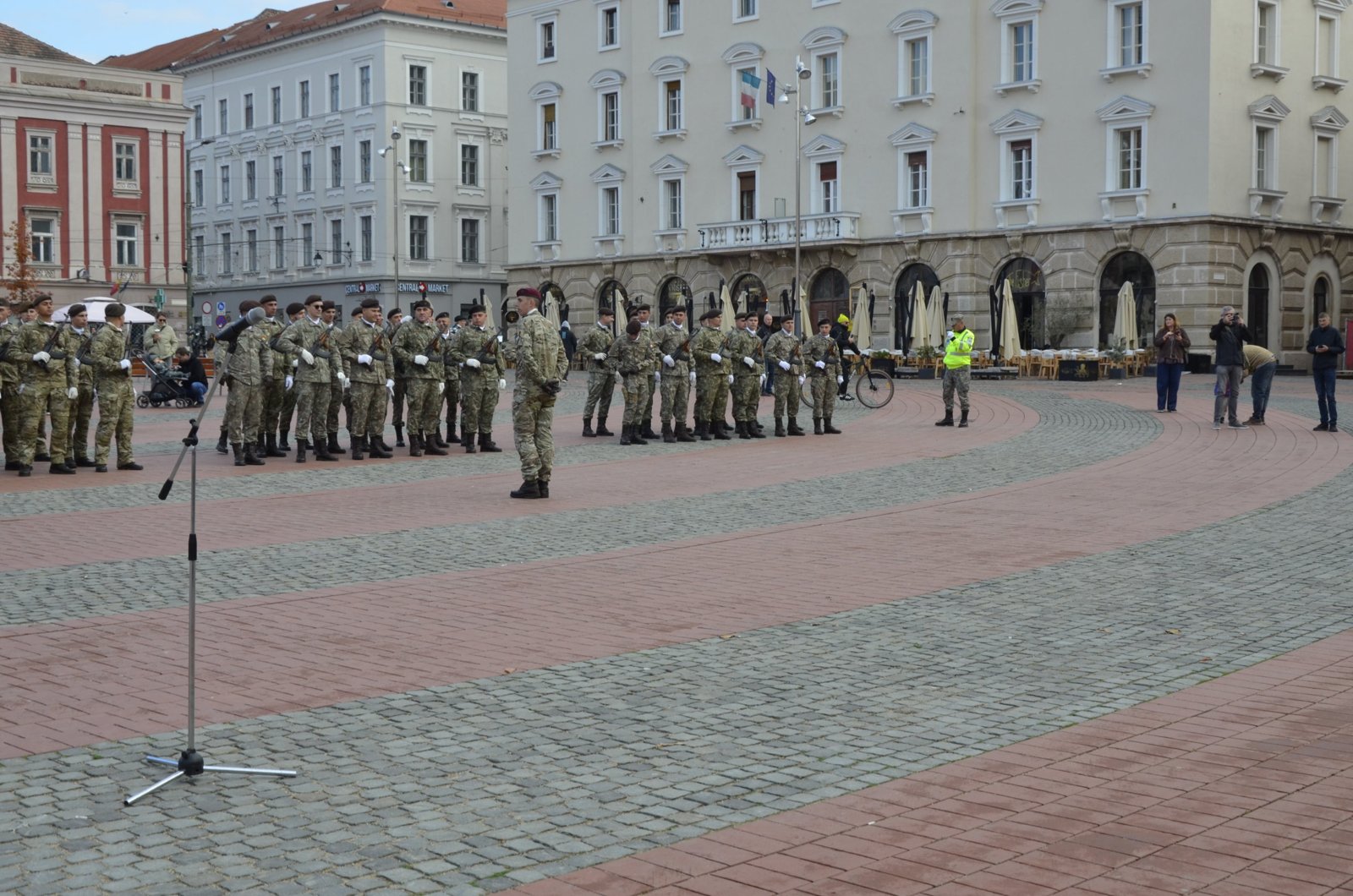 Ziua Armatei Române, Timișoara – foto 15
