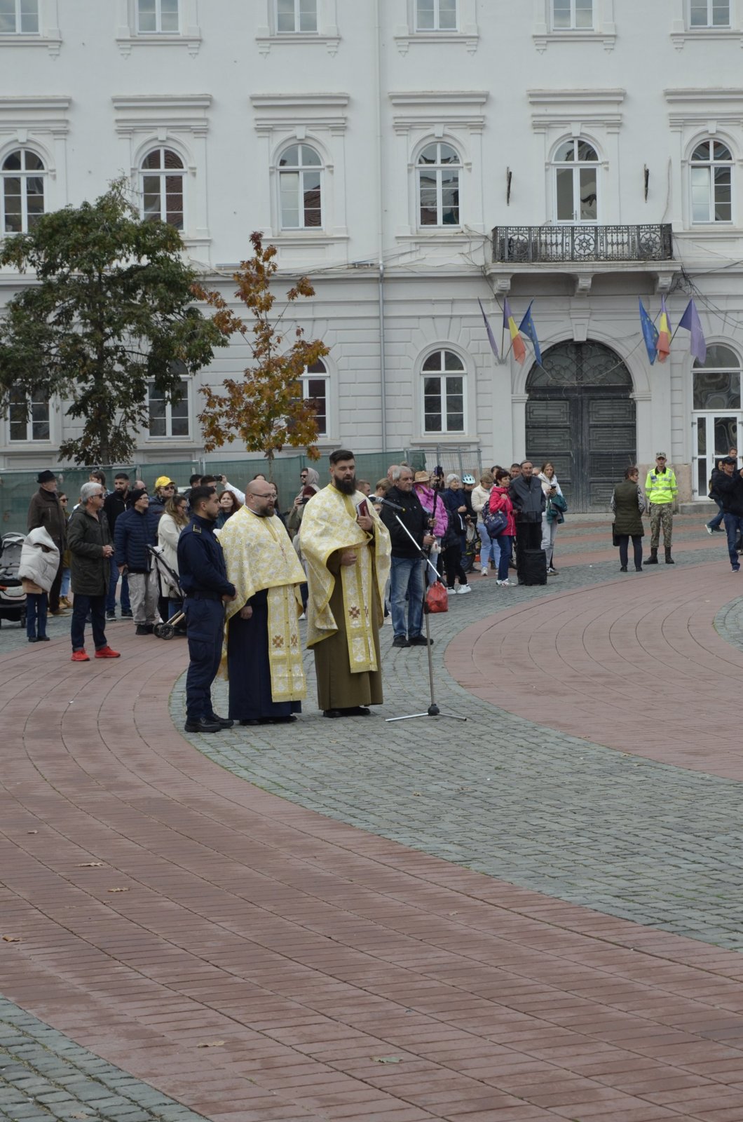 Ziua Armatei Române, Timișoara – foto 23