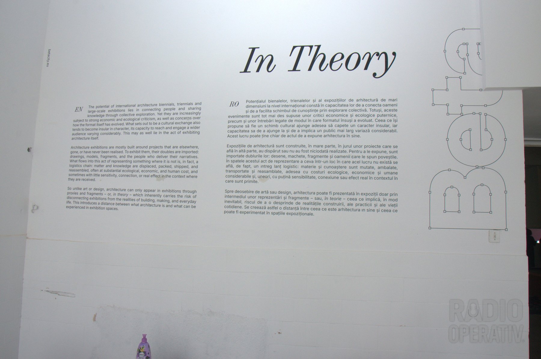 Textul curatorial al secțiunii „In Theory”