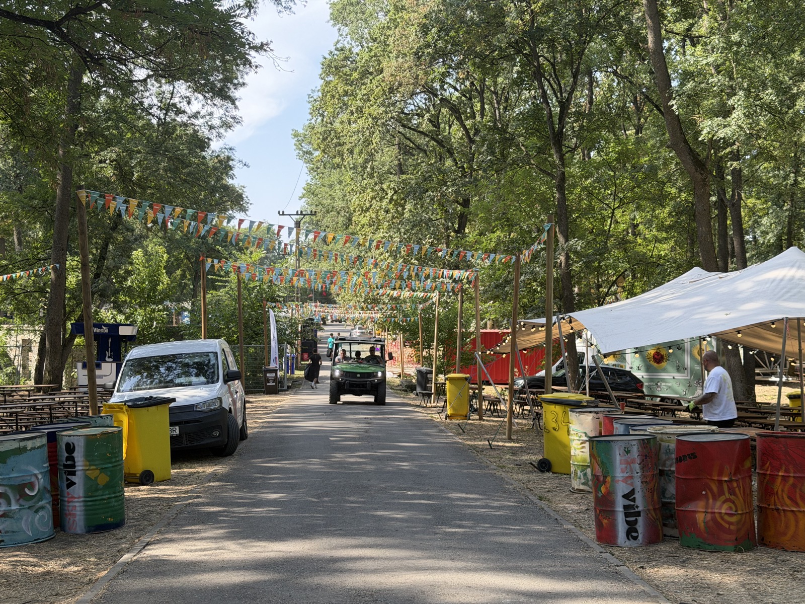 Alee principală a festivalului, decorată cu fanioane colorate